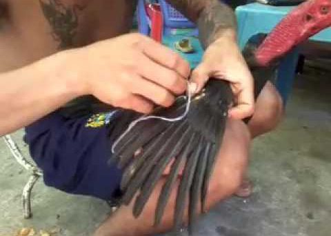 Tết lông gà đá bằng chỉ, keo nến với những kỹ thuật chuẩn nhất 1 ga da