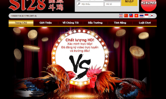Đá gà s128 - tham gia trường đá gà lớn và uy tín nhất thế giới 24 s128