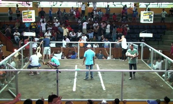 Trường đá gà thomo đang chiếm giữ vị trí quan trọng của ĐNA 9 Trường gà Thomo