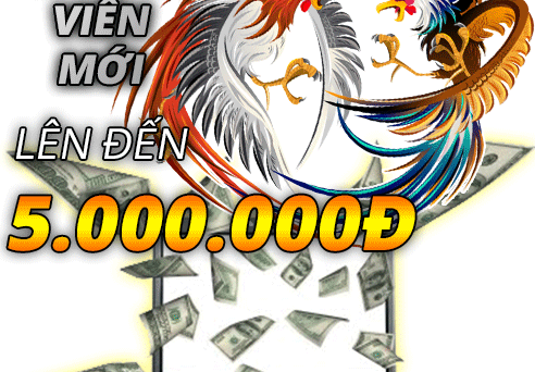 Khuyến Mãi Lớn Chơi Đá Gà Trực Tiếp Campuchia 7 đá gà cựa sắt