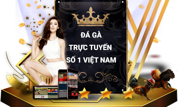 Kinh Nghiệm Chơi Đá Gà Online Chơi Là Thắng 26 đá gà trực tiếp