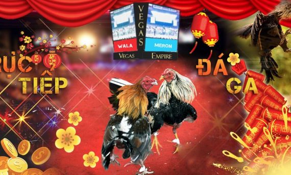 Đá gà Campuchia trò chơi hấp dẫn nhất dịp tết 1 nhà cái vegas79