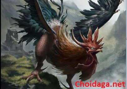 Những dị tướng thần kê không phải ai cũng biết 27 dị tướng thần kê