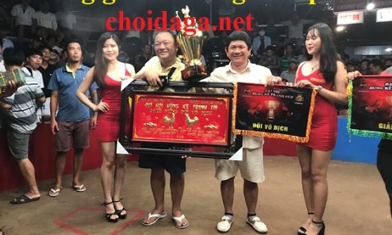 Chơi đá gà - Trường gà Út Tráng ở Campuchia 1 trường gà Út Tráng