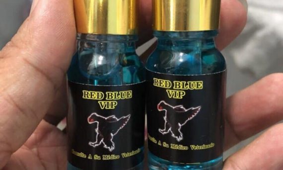 Top 5 thuốc gà đá cựa sắt bỏ túi cho sư kê 8 thuốc gà đá cựa sắt