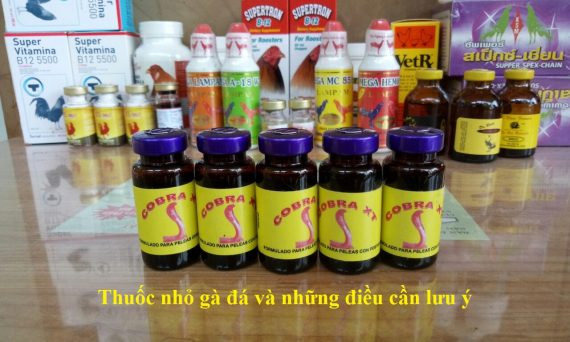 Thuốc nhỏ gà đá và những sai lầm khi mua 1 thuốc nhỏ gà đá