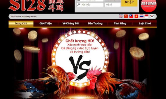 Chơi đá gà S128 cá cược đá gà cựa dao 32 đá gà S128