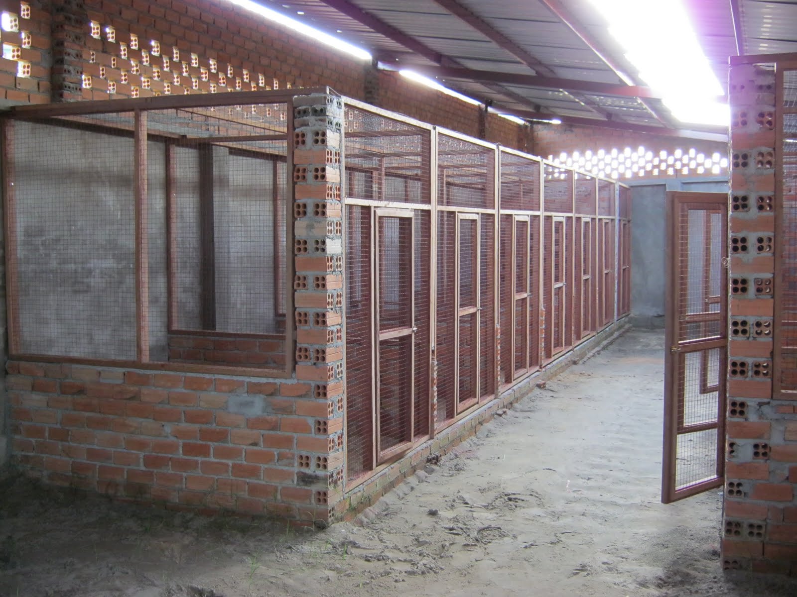 Cách làm chuồng gà đá đạt tiêu chuẩn 2024 20 nhung mo hinh chuong trai ga choi don gian duoc lam tu kinh nghiem san co nhung mo hinh chuong trai ga choi don gian duoc lam tu kinh nghiem san co