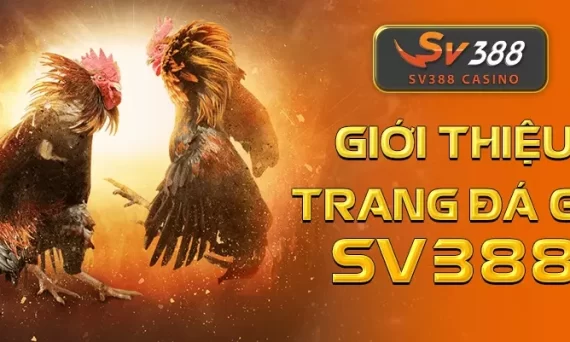 SV388 - Nhà Cái Đá Gà Trực Tiếp Uy Tín Nhất Việt Nam 2024 1 gioi thieu trang da ga sv388