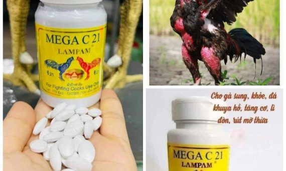 Thuốc đá gà siêu hay được các sư kê sưu tầm 19 thuoc da ga