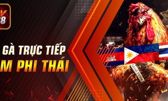 Cược đá gà casino trực tiếp đấu trường Thomo thắng siêu dễ 16 Da Ga Truc Tiep Cam Phi Thai