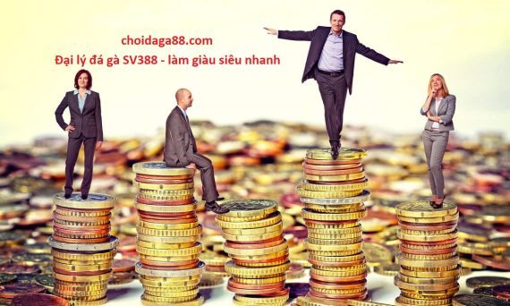 Làm đại lý đá gà trực tiếp là con đường làm giàu siêu nhanh 16 dai ly da ga sv388