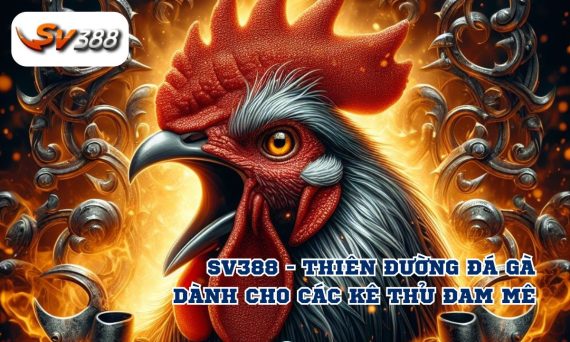 Nhà cái đá gà sv388 uy tín và nhiều người chơi nhất 23 sv388 1