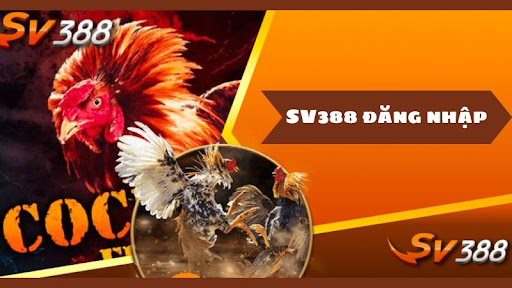 Kèo đá gà dễ chơi dễ thắng chỉ có tại nhà cái SV388 11 sv388