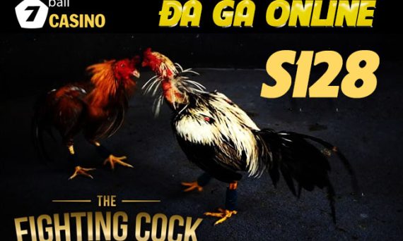 Đá gà Sv128 mang lại những trận chiến máu lửa nhất 7 S128