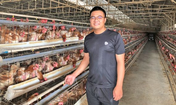 Gà Siêu Thịt – Bước Đi Siêu Chuẩn Để Làm Giàu 15 ga sieu thit