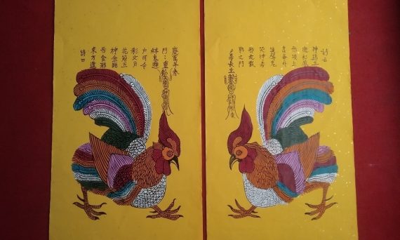 Thần kê hiện diện khắp 3 miền Việt Nam 9 than ke vn