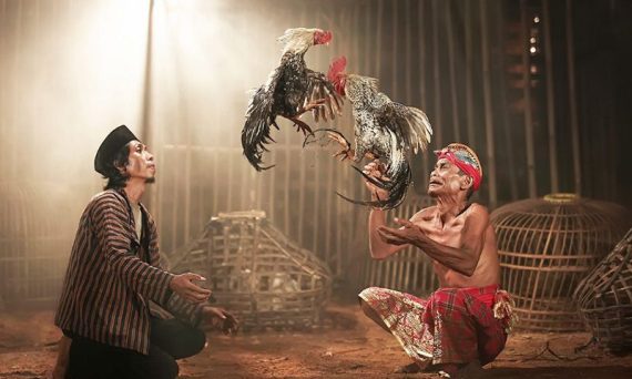 Đam mê đá gà mang lại tiền bạc rủng rỉnh cho dân chơi 24 Dam me da ga