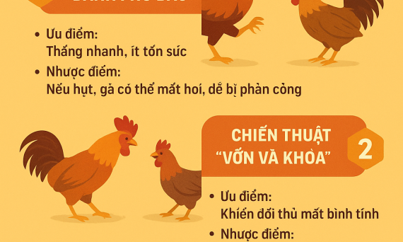 Chiến Thuật Gà Đá Ra Sới Theo Kinh Kê Diễn Nghĩa 7 soi ga