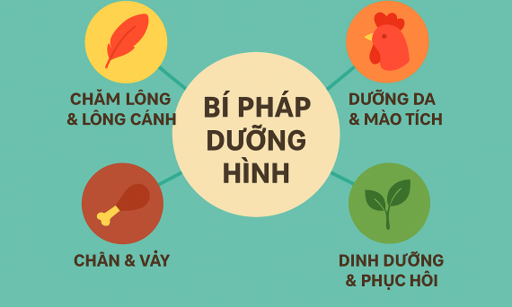 bi phap duong hinh