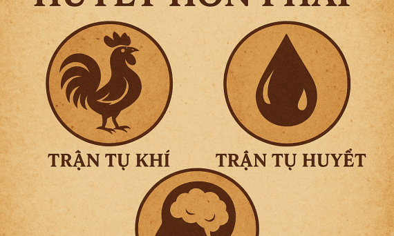 HUYỀN CƠ THỨ MƯỜI MỘT 13 HUYEN CO THU MUOI MOT